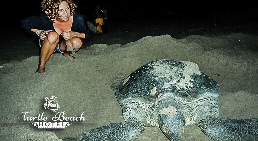 Turtle Beach Hotel Ujunggenteng Ruang foto
