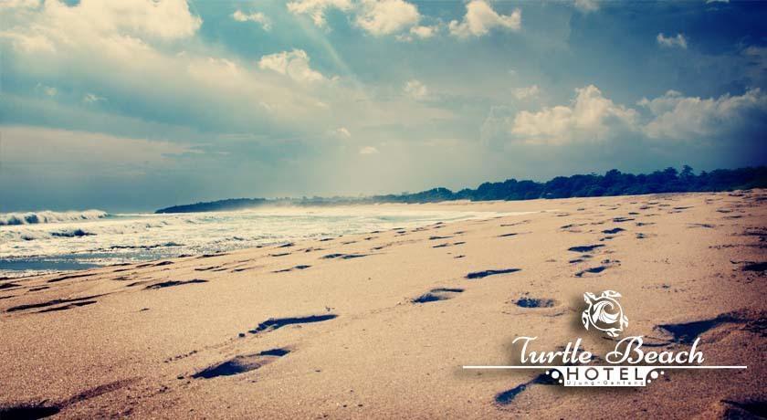 Turtle Beach Hotel Ujunggenteng Ruang foto